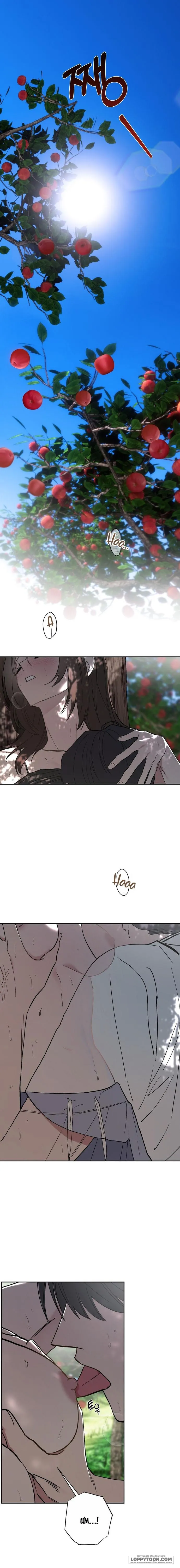 [KHÔNG CHE] Ẩn Tình Nơi Vườn Cây Ăn Quả Chap 1 - trang 1