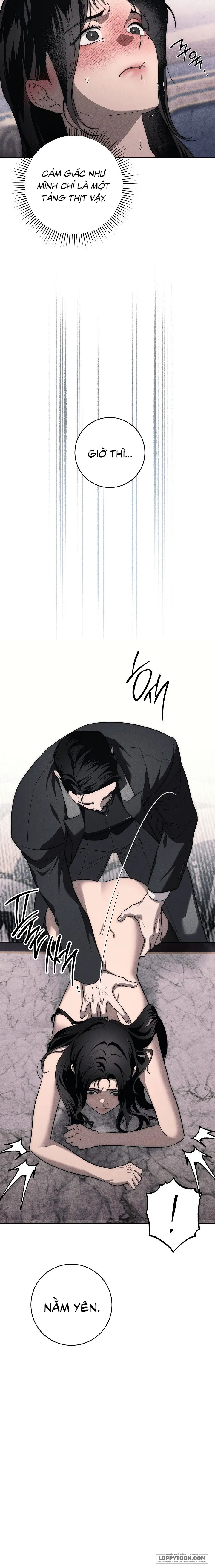 Mộ Thiên Nga Chap 10 - 🔞 - trang 16