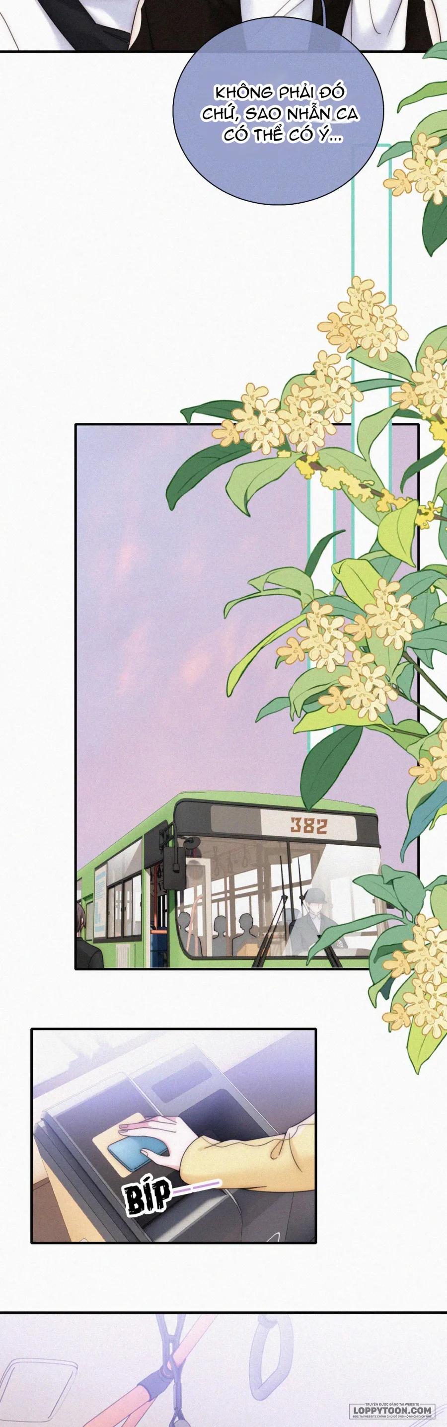 Một Lòng Cưng Chiều Chap 20 - trang 19