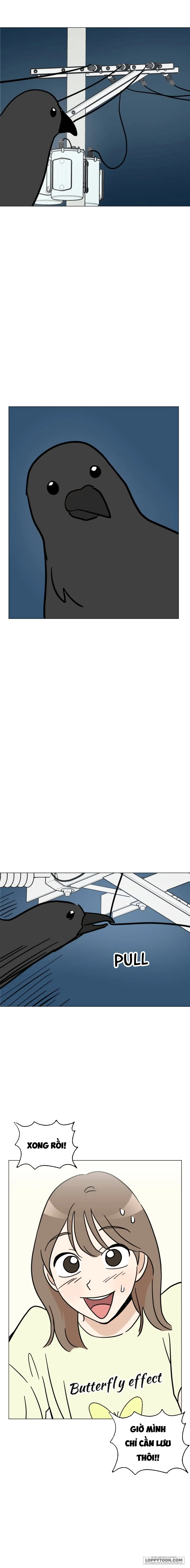 Maru là cún cưng của tôi Chap 11 - trang 17