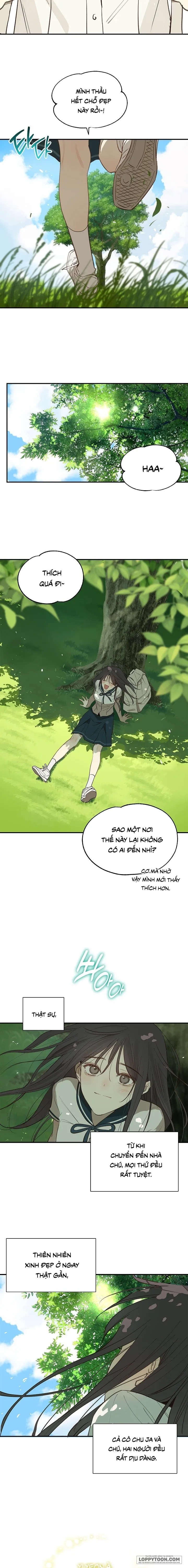Đóa Hoa Là Mồi Nhử Chap 37 - trang 2