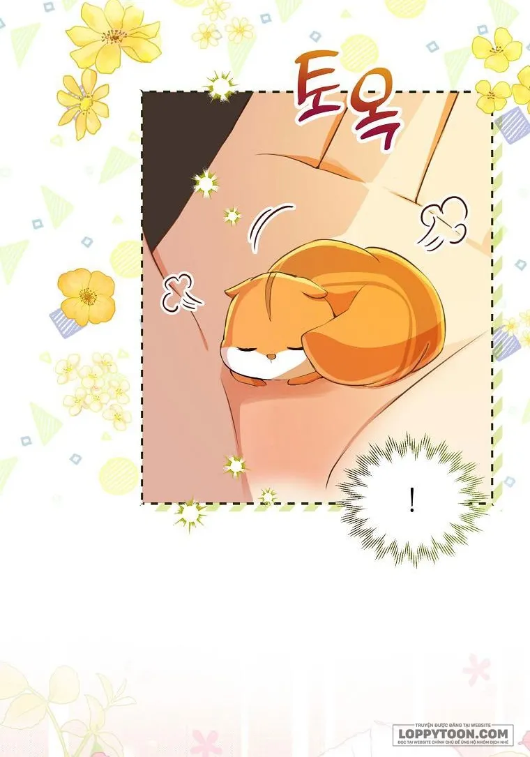 Sóc Con Tài Năng Chap 43 - trang 35