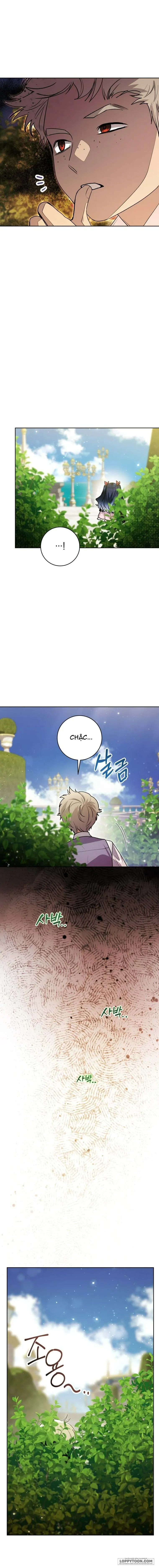 Bé Cá Voi Sát Thủ Phản Diện Chap 55 - trang 2