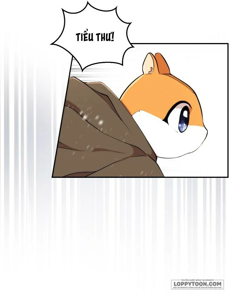 Sóc Con Tài Năng Chap 3 - trang 42