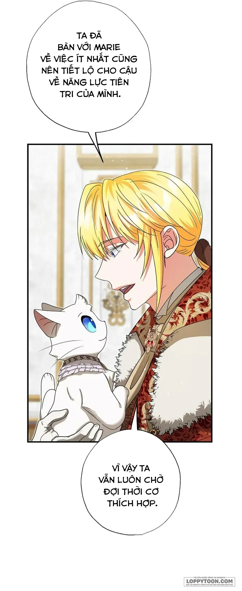 Trở Thành Miêu Nữ Của Hoàng Đế Chap 74 - trang 6