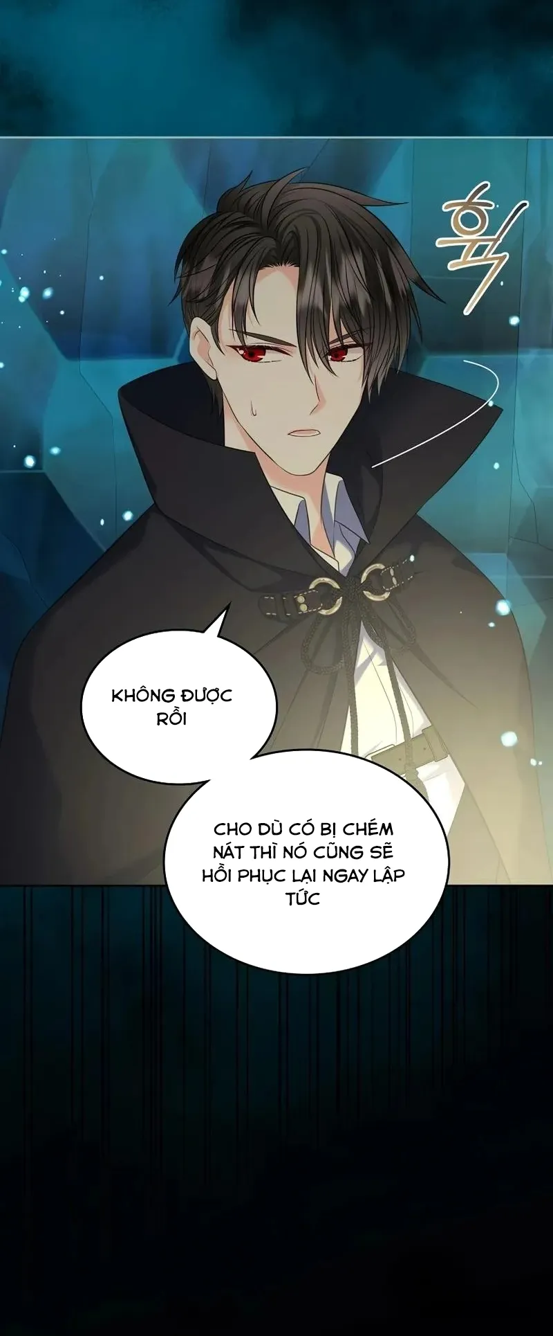 Tôi Sẽ Ly Hôn Với Anh Trai Nữ Chính Chap 73 - trang 7