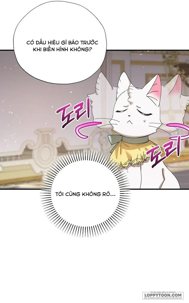 Trở Thành Miêu Nữ Của Hoàng Đế Chap 33 - trang 19