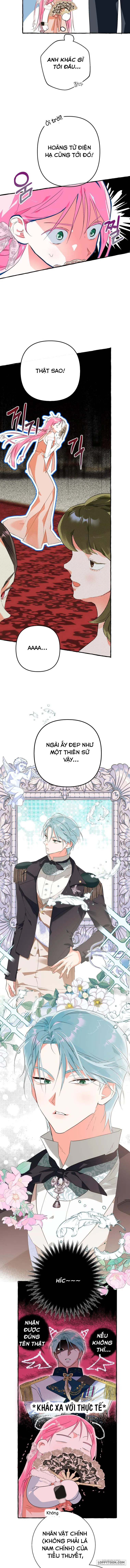 Bạn Sẽ Chết Nếu Không Biết Luật Tiểu Thuyết Chap 8 - trang 9