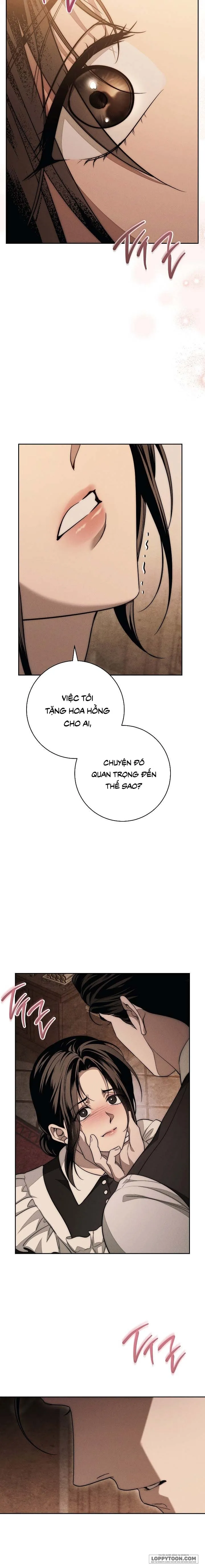 Mộ Thiên Nga Chap 24 - trang 13