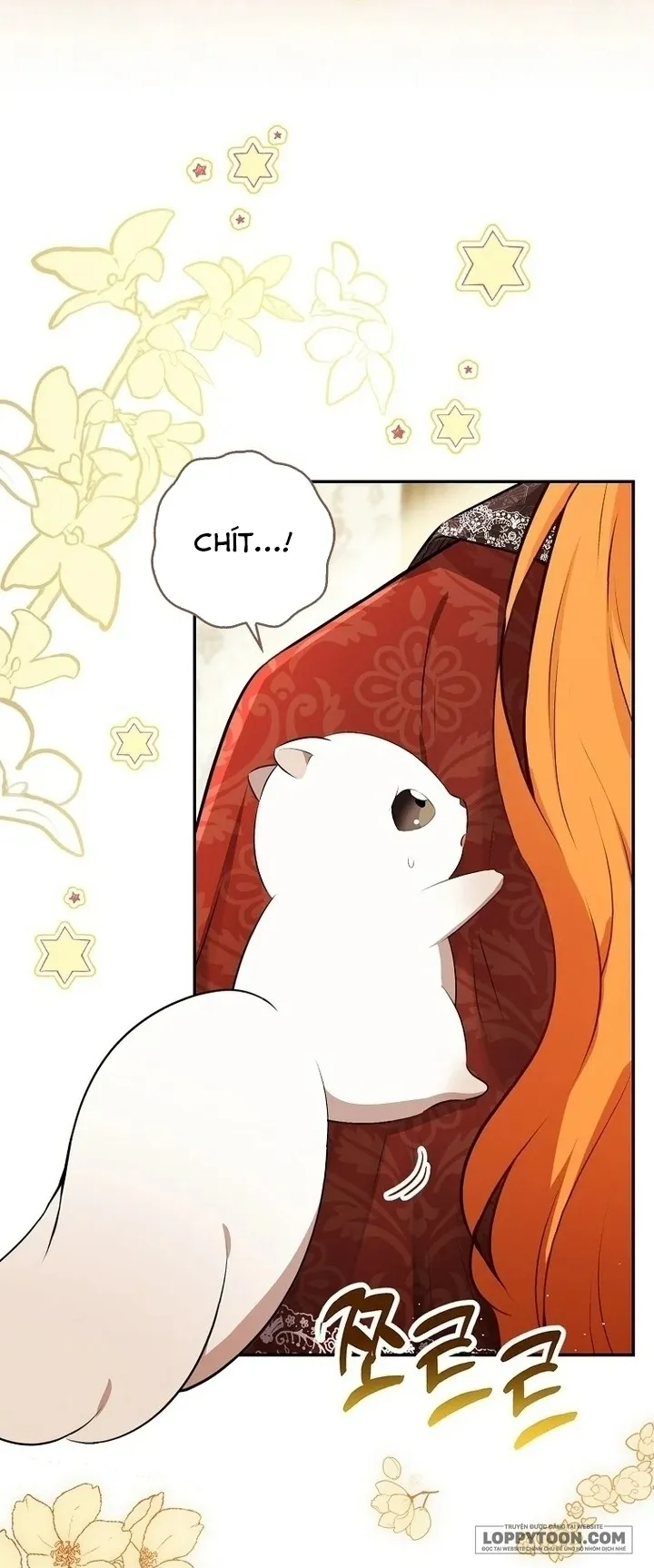 Sóc Con Tài Năng Chap 85 - trang 51