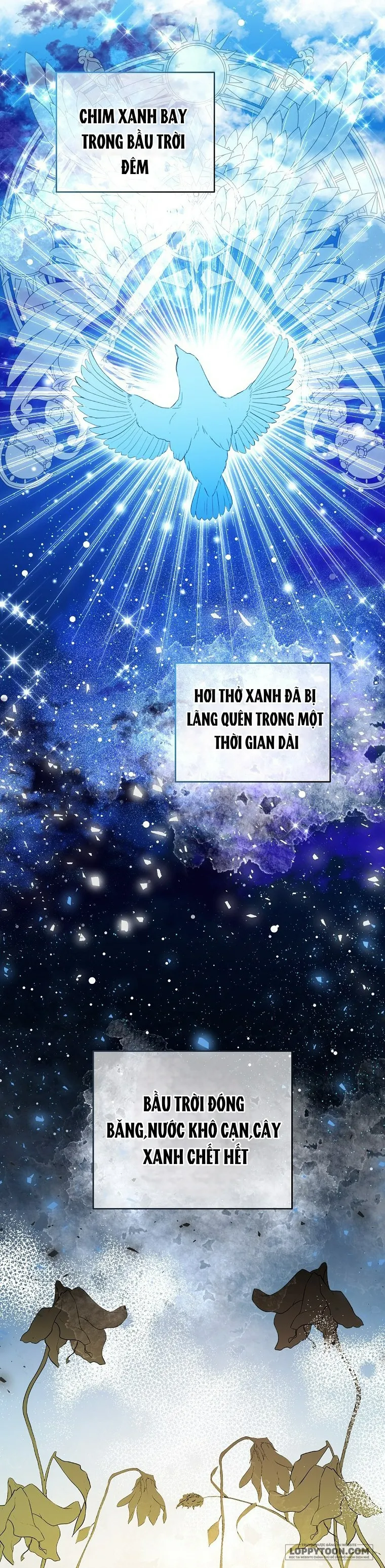 Sóc Con Tài Năng Chap 26 - trang 10