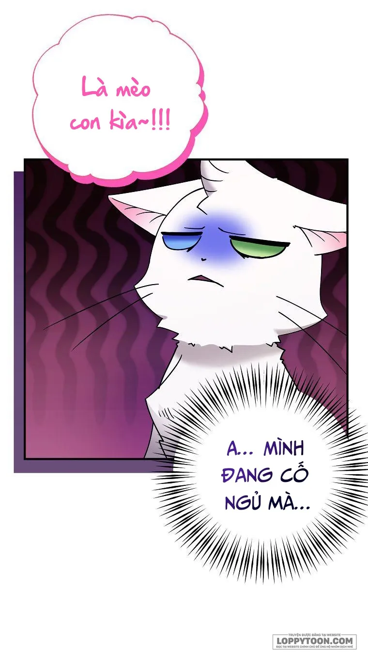 Trở Thành Miêu Nữ Của Hoàng Đế Chap 3 - trang 14