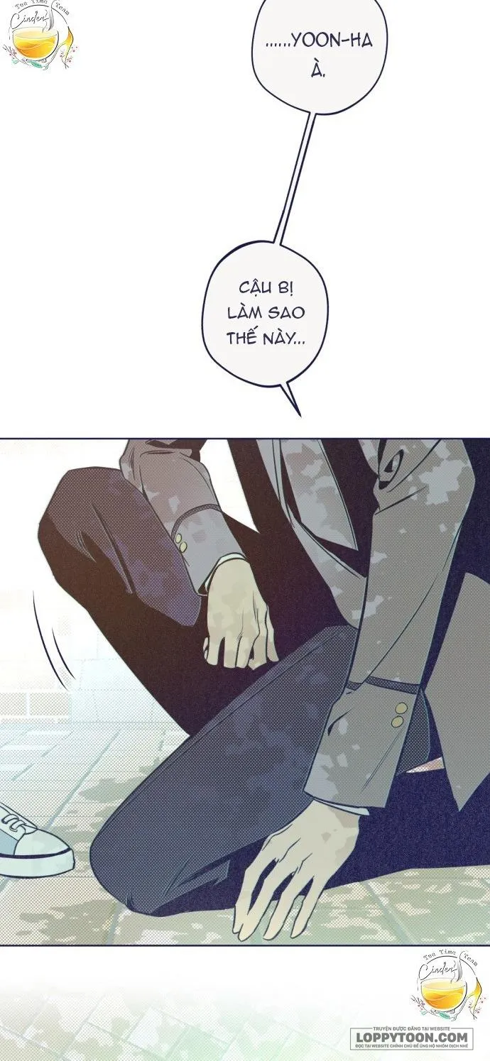 Trắc Nghiệm 4 Lựa Chọn Chap 15 - trang 24
