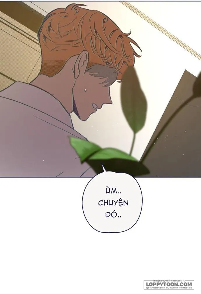Trắc Nghiệm 4 Lựa Chọn Chap 24 - trang 58