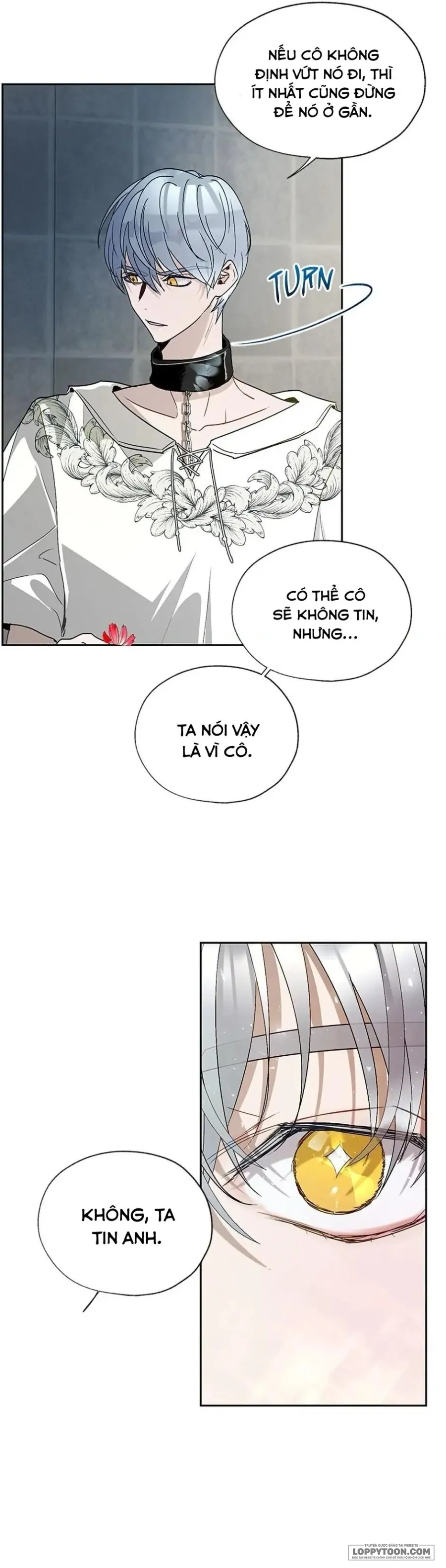 Roxana: Phương Pháp Bảo Vệ Anh Trai Của Nữ Chính Chap 20 - trang 9