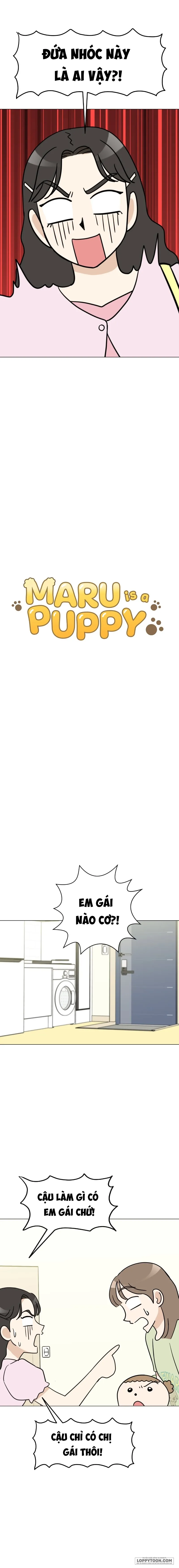 Maru là cún cưng của tôi Chap 14 - trang 3