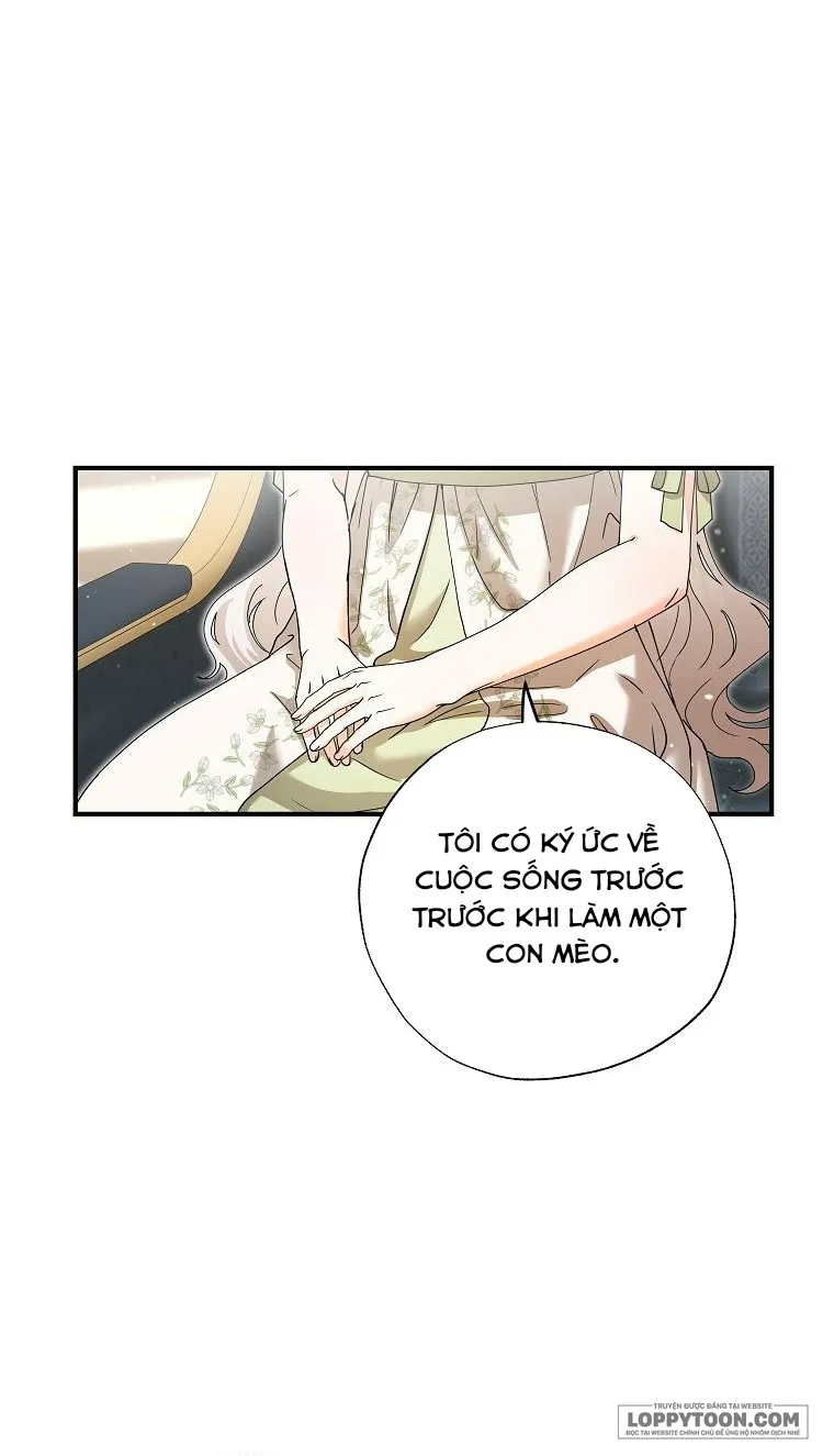 Trở Thành Miêu Nữ Của Hoàng Đế Chap 41 - trang 35