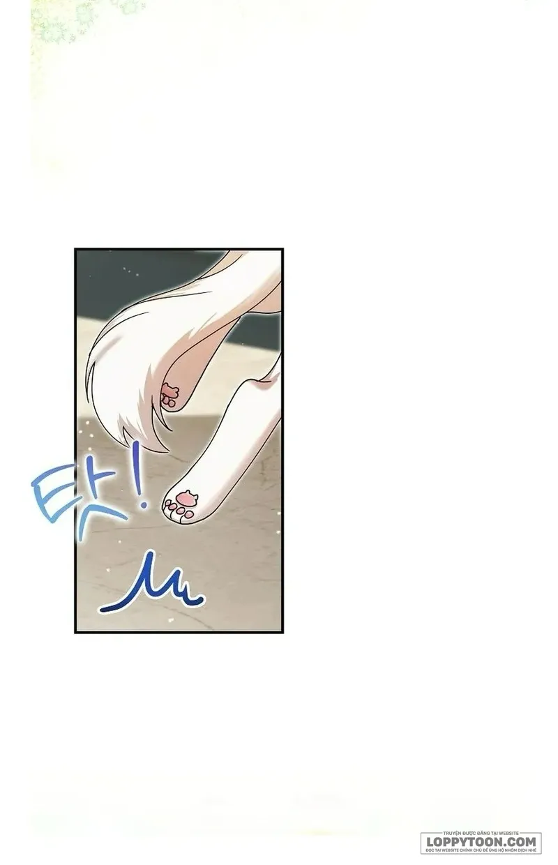 Trở Thành Miêu Nữ Của Hoàng Đế Chap 36 - trang 47