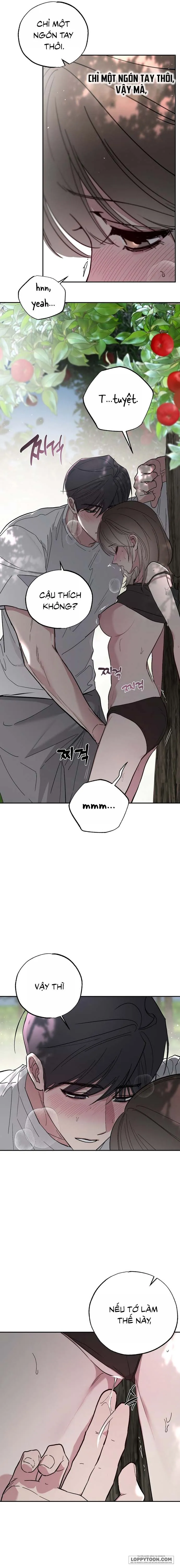 [KHÔNG CHE] Ẩn Tình Nơi Vườn Cây Ăn Quả Chap 5 - 🔞🔞 - trang 16