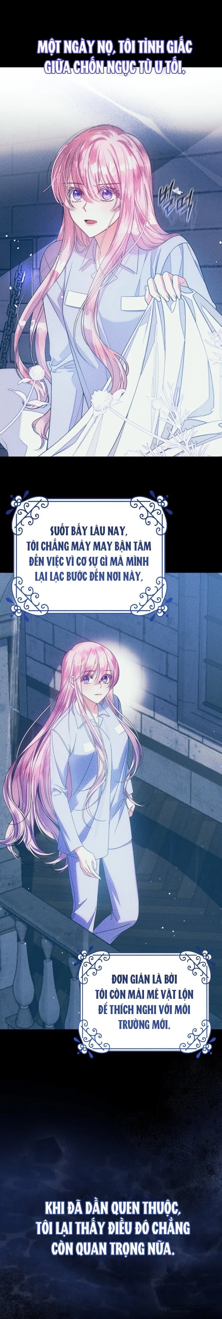 Tôi Gặp Nam Chính Trong Tù Chap 84 - trang 9