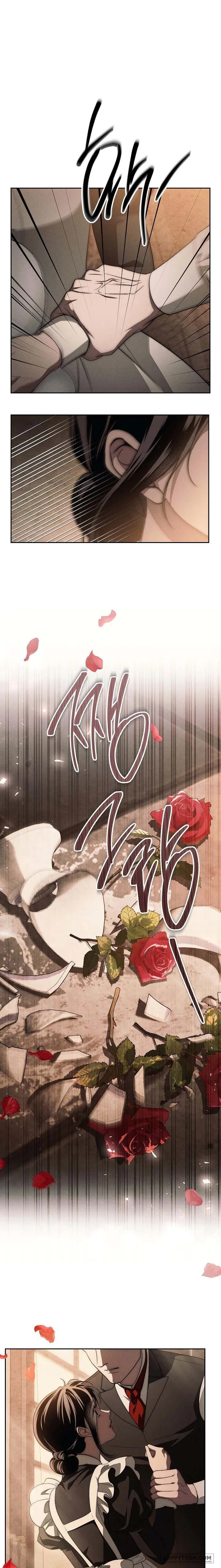 Mộ Thiên Nga Chap 24 - trang 21