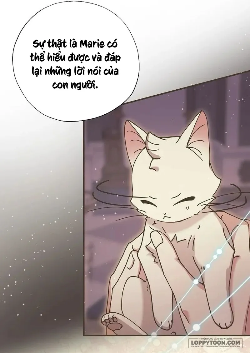 Trở Thành Miêu Nữ Của Hoàng Đế Chap 35 - trang 34