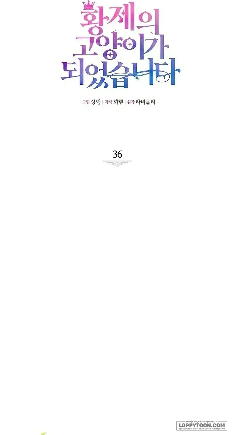 Trở Thành Miêu Nữ Của Hoàng Đế Chap 36 - trang 9