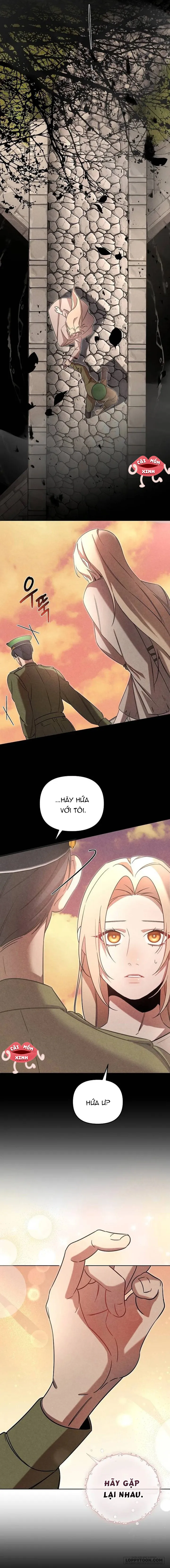 Nơi Đóa Hồng Vàng Úa Tàn Chap 10 - trang 10