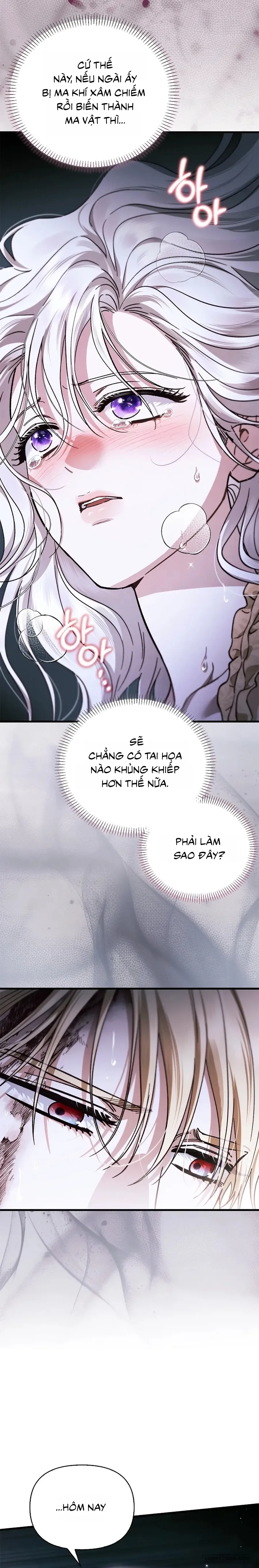 Nhưng Rõ Ràng Chồng Tôi Là Thánh Kỵ Sĩ Mà? Chap 27 - trang 30