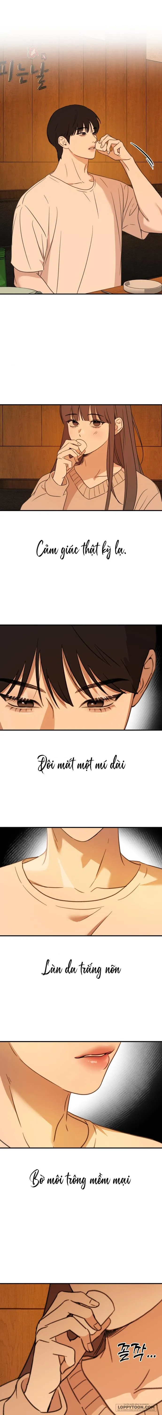 Hẹn Hò Thì Ngọt Ngào, Sống Chung Thì Nóng Bỏng Chap 1 - trang 19