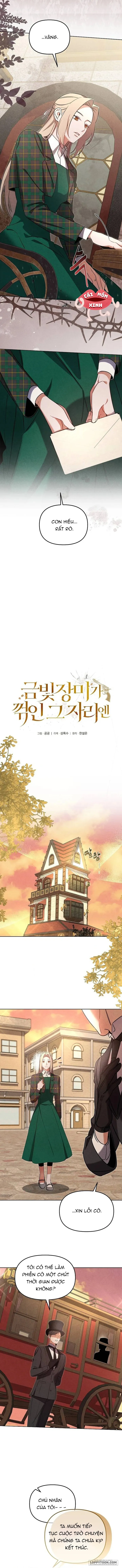 Nơi Đóa Hồng Vàng Úa Tàn Chap 9 - trang 3