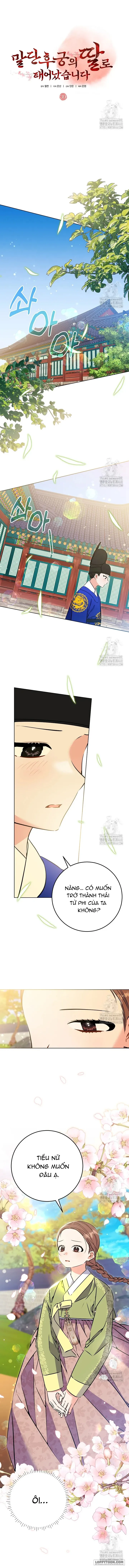 Tôi Sinh Ra Là Con Gái Của Một Cung Phi Hèn Mọn Chap 39 - trang 5