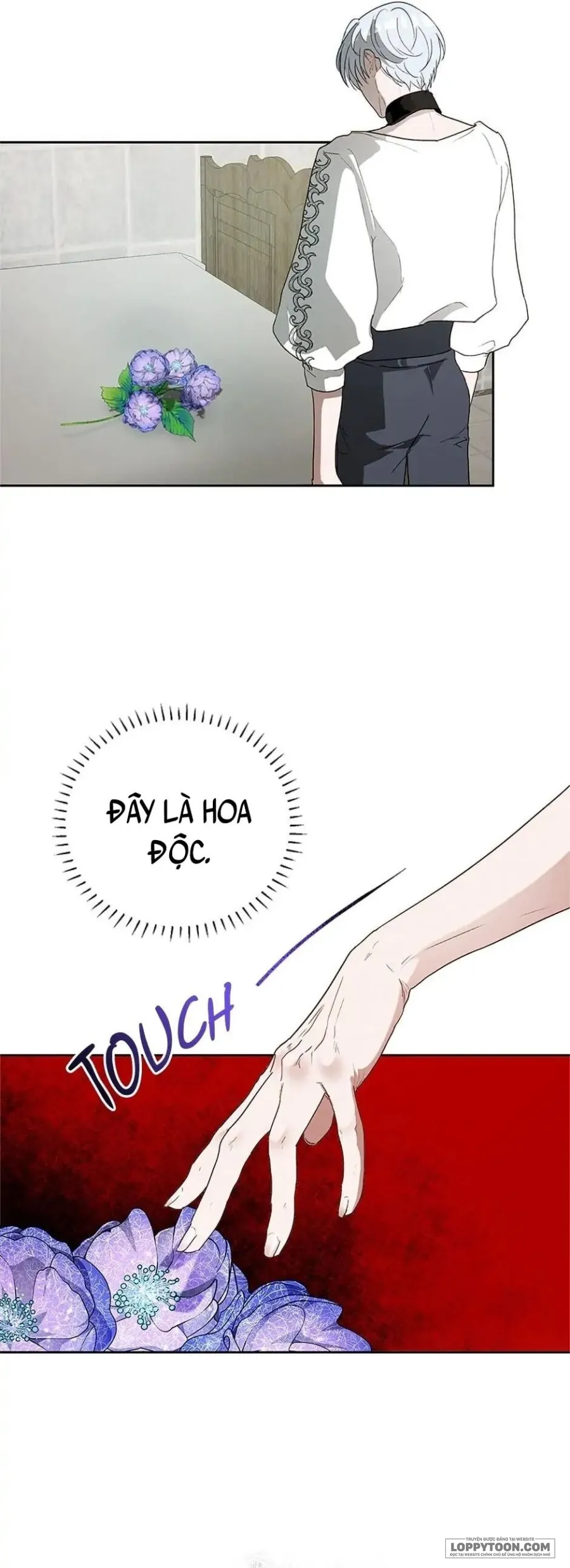 Roxana: Phương Pháp Bảo Vệ Anh Trai Của Nữ Chính Chap 11 - trang 3