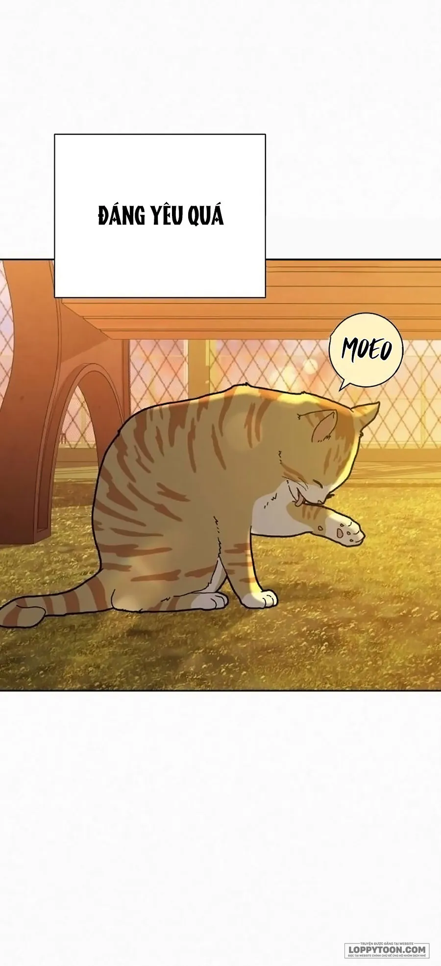 Chiến Lược Tình Yêu Trong Sáng Chap 99 - trang 22