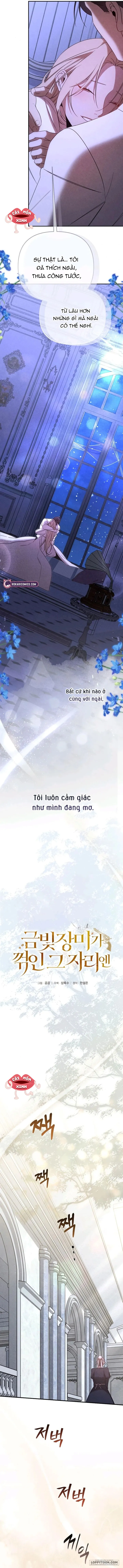 Nơi Đóa Hồng Vàng Úa Tàn Chap 24 - trang 9