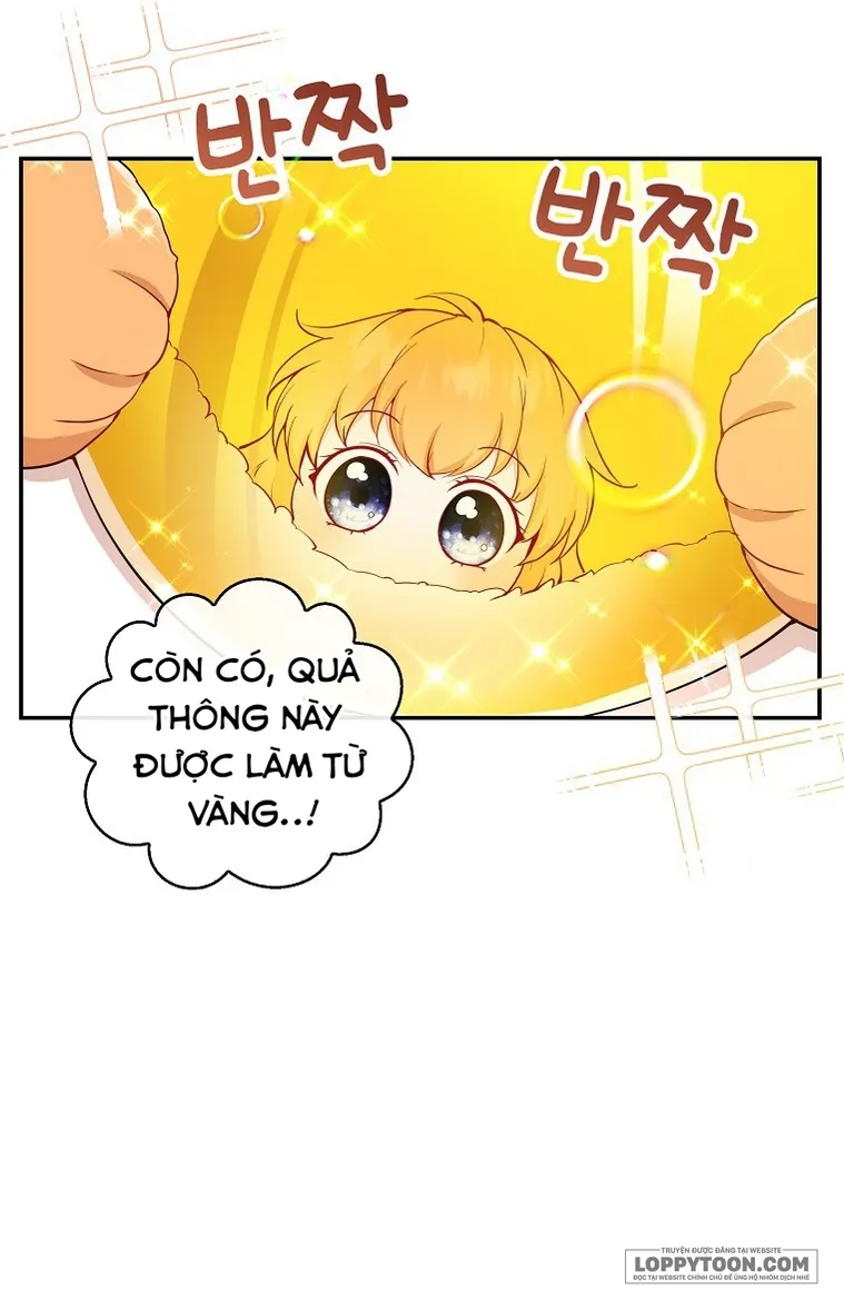 Sóc Con Tài Năng Chap 21 - trang 10