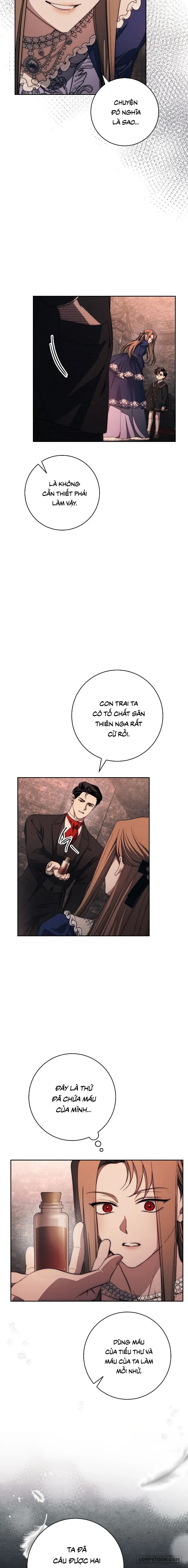 Mộ Thiên Nga Chap 31 - trang 11