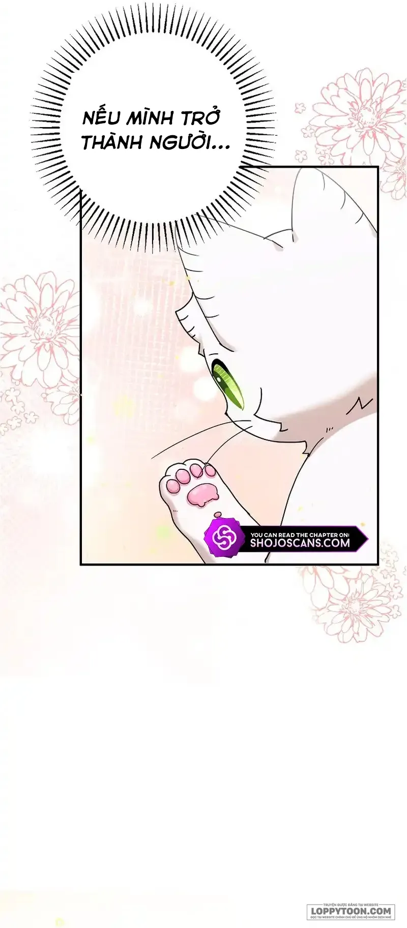 Trở Thành Miêu Nữ Của Hoàng Đế Chap 13 - trang 47