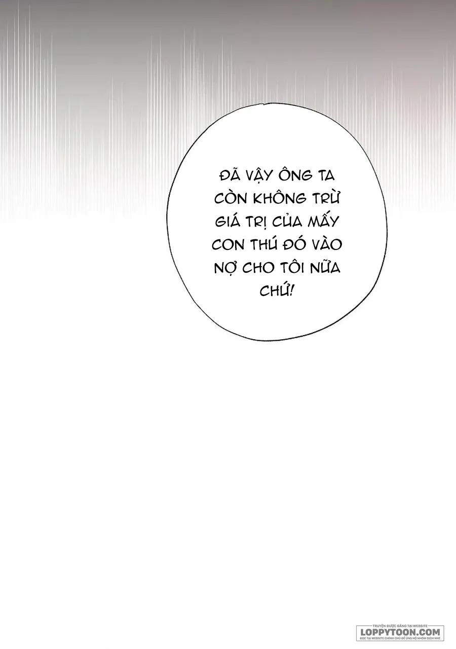 Trở Thành Miêu Nữ Của Hoàng Đế Chap 46 - trang 16