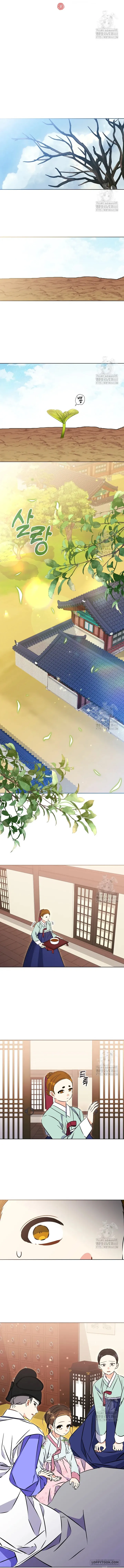Tôi Sinh Ra Là Con Gái Của Một Cung Phi Hèn Mọn Chap 36 - trang 4
