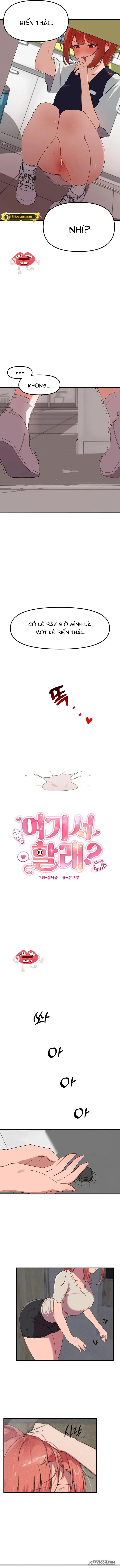 Làm Luôn Ở Đây Nhé? Chap 1 - trang 5