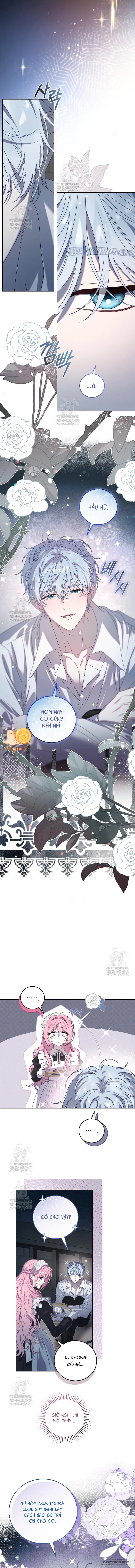 Kẻ Ám Ảnh Cuồng Tín Đang Cố Giam Cầm Tôi Chap 2 - trang 8