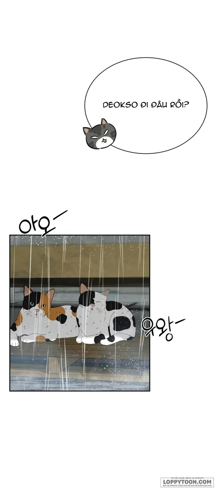 Chưa Từng Chạm Tới Em Chap 19 - trang 14