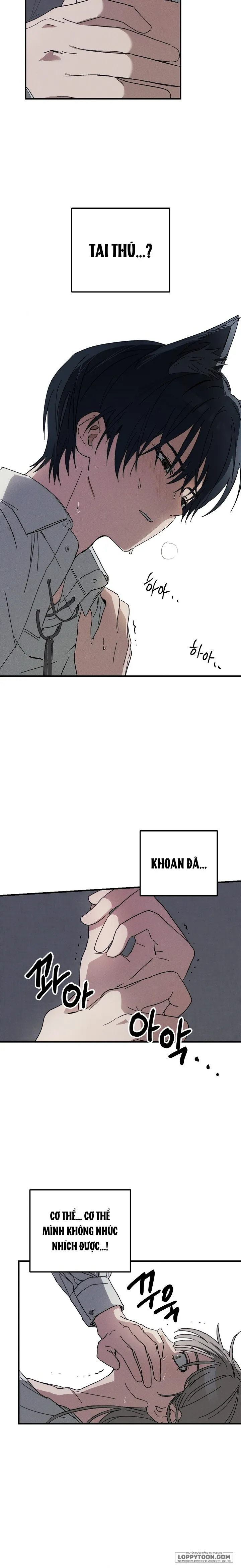 Lời Tuyên Thệ Của Loài Sói Chap 1 - trang 16