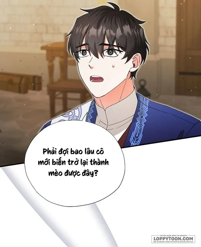 Trở Thành Miêu Nữ Của Hoàng Đế Chap 34 - trang 21
