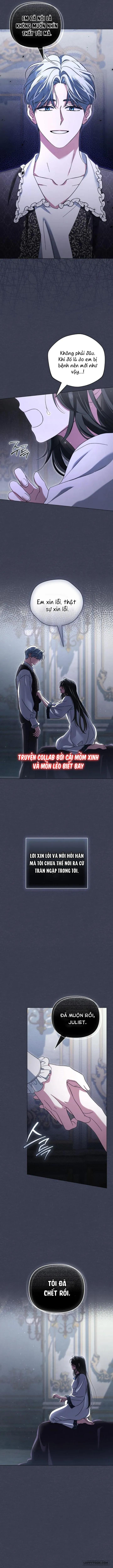 Dành Cho Nàng Juliet Xinh Đẹp Chap 16 - trang 5