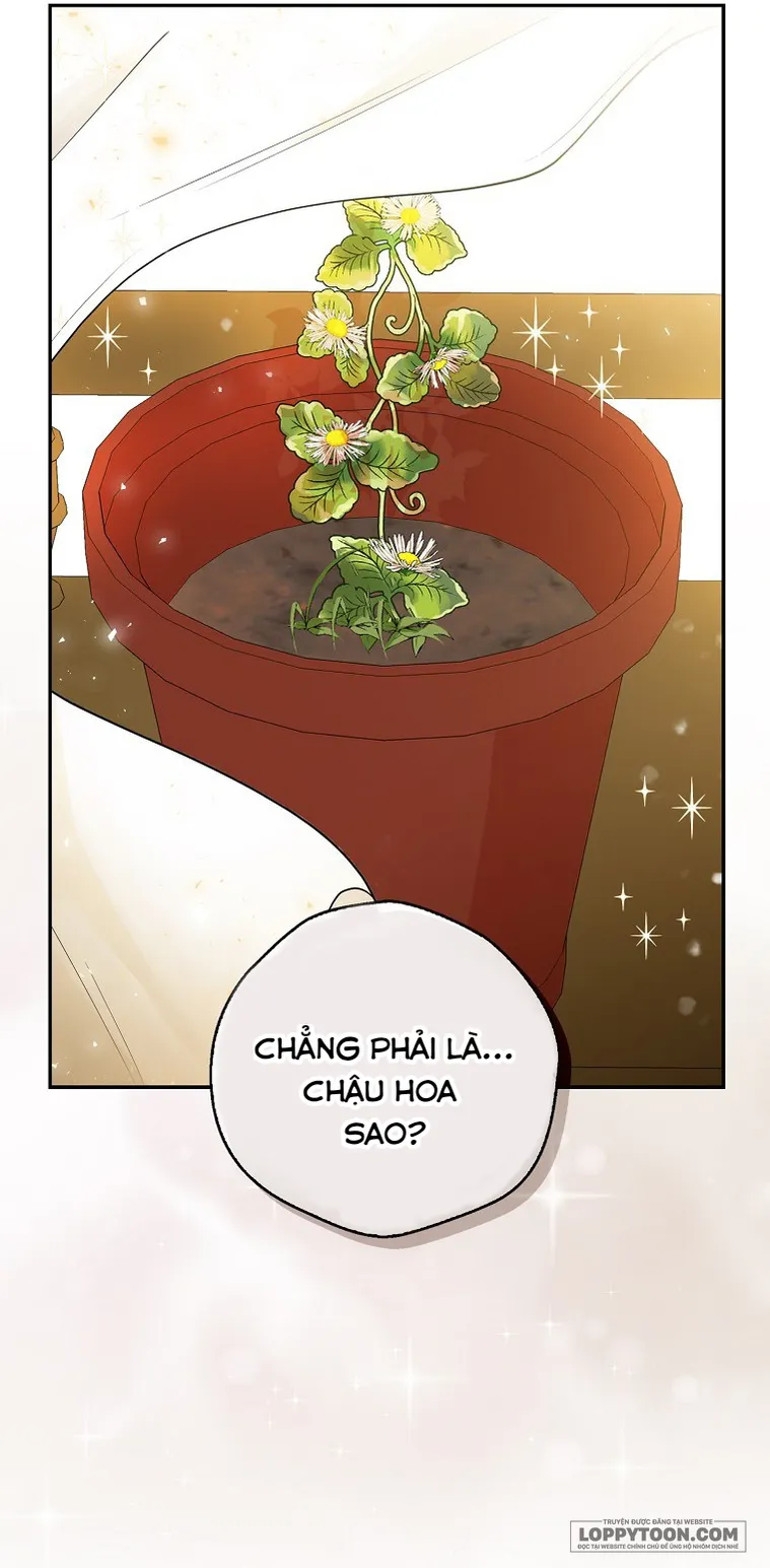 Sóc Con Tài Năng Chap 19 - trang 15