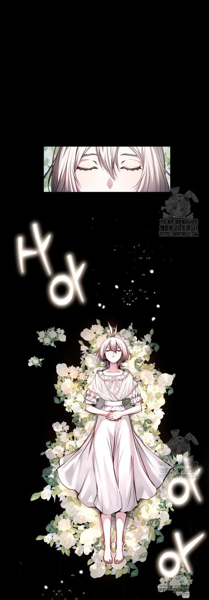 Thỏ Trắng Ở Xứ Sở Thần Tiên Chap 5 - trang 1