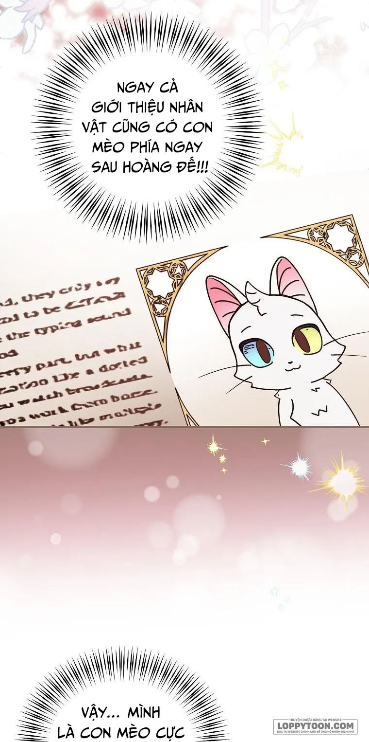 Trở Thành Miêu Nữ Của Hoàng Đế Chap 2 - trang 19