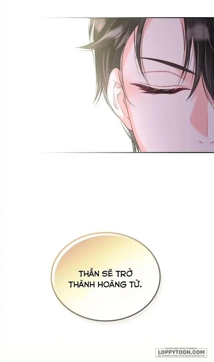 Tôi Sẽ Ly Hôn Với Anh Trai Nữ Chính Chap 11 - trang 12